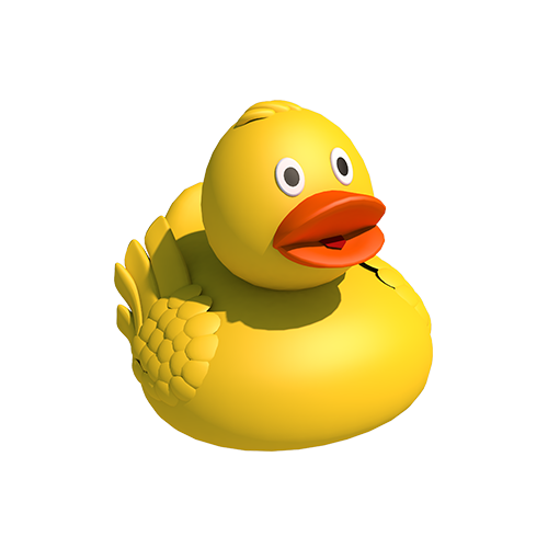 Swan Duck