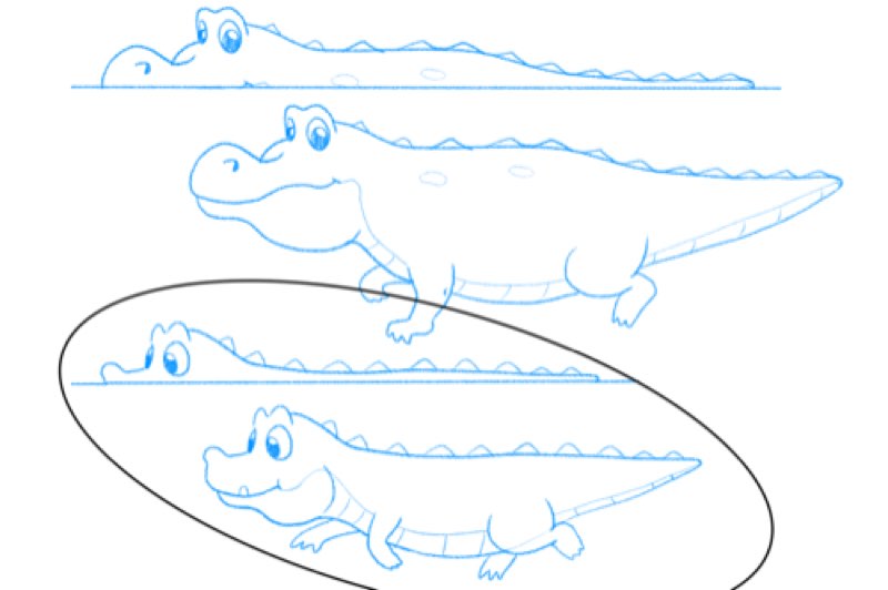 Gator